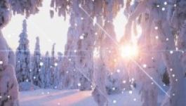 Mit hoz Pál napja 2013-ban?