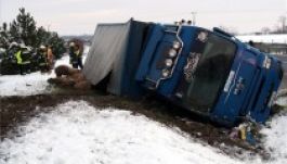 Sertések irányították a forgalmat Kecskemétnél