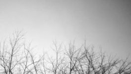 Művészi képeket készít a vak fotós