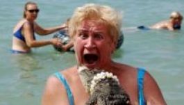 A leggagyibb fotók az interneten – Top 20