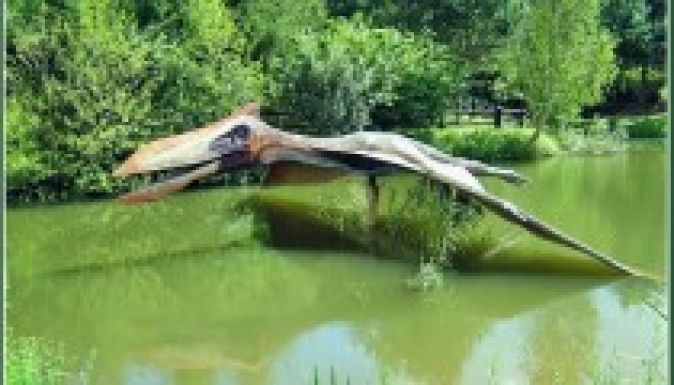 Új pteroszauruszfaj fosszíliáit találták meg Romániában