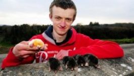 Kikerül a birkozás a 2020-as olimpia műsorából