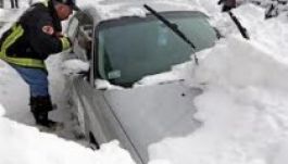 Egy kisfiú volt Nemo első áldozata Amerikában