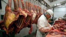 Lóhúsbotrány: Bukarest szerint Romániában nem történt szabálytalanság