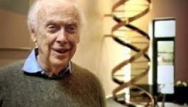 Eladó a DNS-modellért kapott Nobel-díj