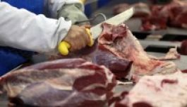 Hol keverik lóhússal a marhahúst?