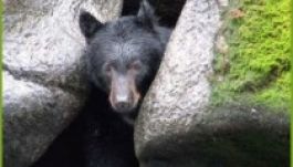 Mit jósol február, a Böjtelő hava?