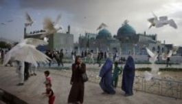 Erdélyi fotós a világ legjobbjai között