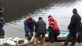 FRISSÍTÉS: Lehet, hogy lóhúst dobtak a Tárnicába