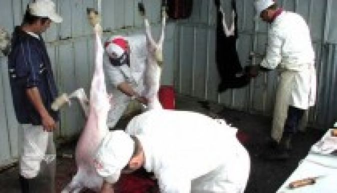 Háromszéken 25-35 lej között mozog a bárányhús ára