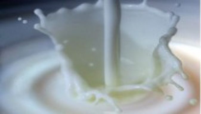 Több száz tonna szennyezett tejterméket semmisítettek meg