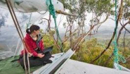 Tizenöt hónap után mászott le a fáról Miranda Gibson