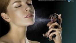 Hétfőtől tilos az állatokon tesztelt kozmetikumok forgalmazása