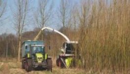 Az energianövények termesztésére vonatkozó tervezet elfogadását sürgetik 