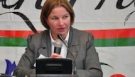 Kulturális vonatkozású pályázati tanácsadást indít az RMDSZ