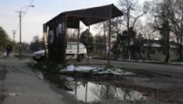 Nőügy miatt ölték meg az óbecsei 17 éves magyar fiút?