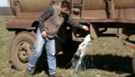 Rákkeltő tejet importáltak, már kivonták a forgalomból