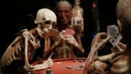 The Human Body: Bukarestbe érkezik a felkavaró kiállítás