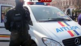 Aradon számolták fel az ország legnagyobb kenderültetvényét