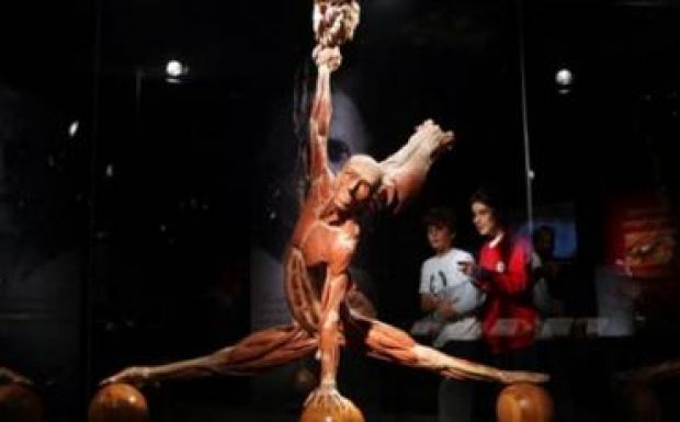 Tanügyminisztériumi feketelistán a The Human Body kiállítás