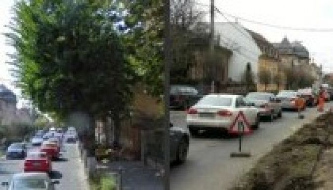 Nem csitult a fakivágás Marosvásárhelyen