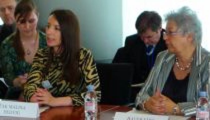 EP-képviselők hallgatták meg a 2006-ban megvert Malina Hedviget