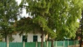 Kultúrközponttá tenné az EMKE Sütő András szülőházát