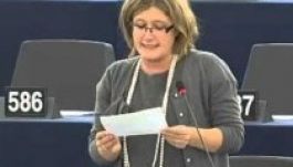 Gál Kinga kisebbségügyben „vette elő