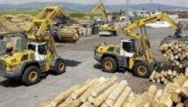 A háromszéki faberuházás leállítását kérik a civil szervezetek