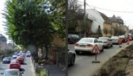 Nem csitult a fakivágás Marosvásárhelyen