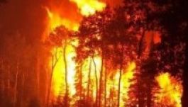 Erdőtűz pusztított szombat reggel Hargita megyében