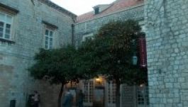 FOTÓRIPORT: Dubrovnikban már érik a narancs