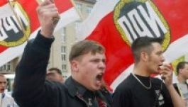 A Bundestag kockázatosnak tartja a neonáci NPD betiltását