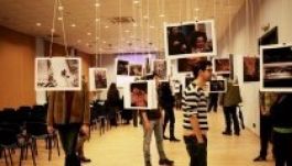 Zaj és érzések - fotókon