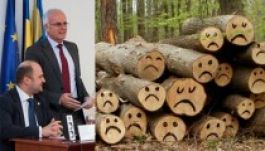 Áldás vagy átok a háromszéki faberuházás?