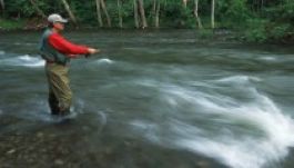 Bonyolult a horgászengedély kiváltása Hargita megyében