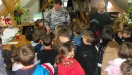 Iskola másként: rádióban, lovardában, állatkertben