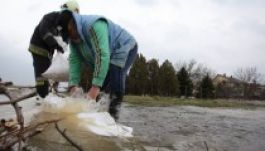 Elsőfokú árvízkészültség a Tisza magyarországi szakaszán