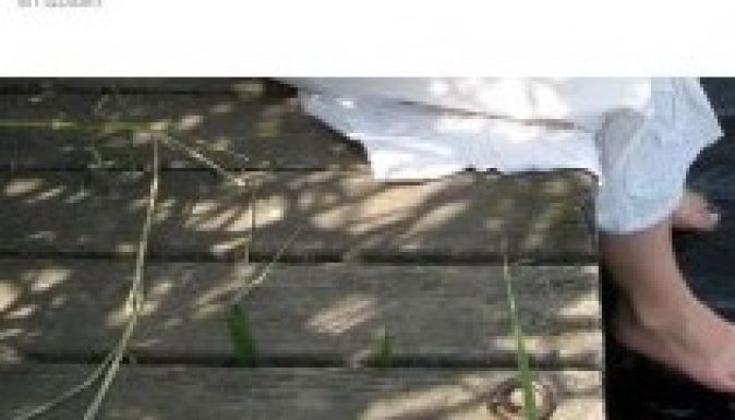 Kapcsolataink tabu-problémáit feszegeti egy provokatív blog