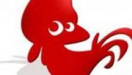 Sarkantyús kiskakas a Kalotaszegi Magyar Napok kabalája