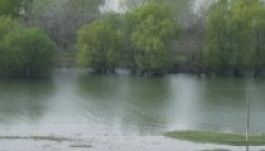 Árad a Duna, de nincs árvízveszély