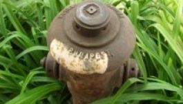 Régi tűzcsapok védelmére kelnek Marosvásárhelyen