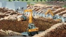 RMDSZ: hatástanulmány szükséges a Schweighofer beruházásról