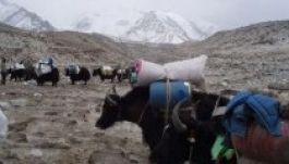 Székelyek a magasban: Mont Blanc expedíció kezdőknek