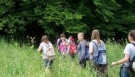 Tanácsok: hogyan éljük túl az erdei túrákat?