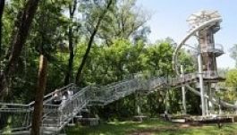 Páratlan lombkoronasétány épült a Maros-parton