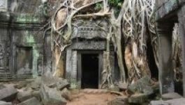 Ha a természet visszaveszi az uralmat (FOTÓGALÉRIA)