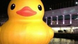 Ismét Hong Kong kikötőjében lebeg az óriási gumikacsa