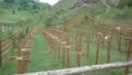 Meggyalázták a maroshévízi Magyar Katonai temetőt