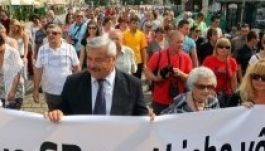 Felvidéki magyarok tiltakoztak az EP petíciós bizottságának ülésén